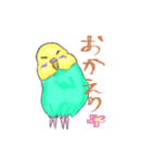 ゆるかわセキセイインコ（個別スタンプ：3）