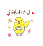 ゆるかわセキセイインコ（個別スタンプ：4）