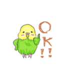 ゆるかわセキセイインコ（個別スタンプ：5）