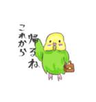 ゆるかわセキセイインコ（個別スタンプ：9）