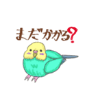 ゆるかわセキセイインコ（個別スタンプ：11）