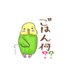 ゆるかわセキセイインコ（個別スタンプ：13）