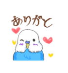 ゆるかわセキセイインコ（個別スタンプ：14）