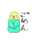 ゆるかわセキセイインコ（個別スタンプ：15）