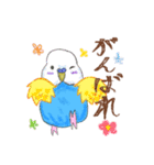 ゆるかわセキセイインコ（個別スタンプ：18）