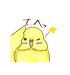 ゆるかわセキセイインコ（個別スタンプ：28）