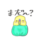 ゆるかわセキセイインコ（個別スタンプ：34）