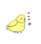 ゆるかわセキセイインコ（個別スタンプ：35）