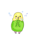 ゆるかわセキセイインコ（個別スタンプ：36）