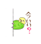 ゆるかわセキセイインコ（個別スタンプ：37）
