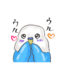 ゆるかわセキセイインコ（個別スタンプ：38）