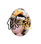 nanachannnnn（個別スタンプ：3）
