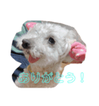 nanachannnnn（個別スタンプ：4）