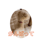 nanachannnnn（個別スタンプ：6）