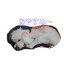 nanachannnnn（個別スタンプ：8）