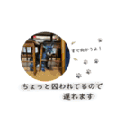 老犬シュナウザー（個別スタンプ：7）