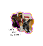 老犬シュナウザー（個別スタンプ：22）