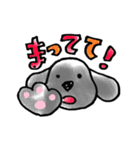 愛犬ドールくん（個別スタンプ：7）