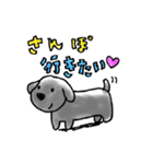 愛犬ドールくん（個別スタンプ：13）