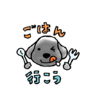 愛犬ドールくん（個別スタンプ：14）