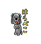 愛犬ドールくん（個別スタンプ：21）