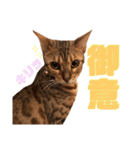 こてつFEVER  ❣️（個別スタンプ：2）
