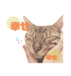 こてつFEVER  ❣️（個別スタンプ：8）