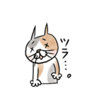 どうぶつくん。ねこ2(スケッチ)（個別スタンプ：27）