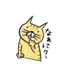 どうぶつくん。ねこ2(スケッチ)（個別スタンプ：36）