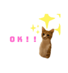 れん58（個別スタンプ：7）