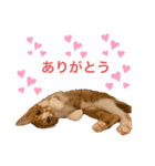 れん58（個別スタンプ：8）