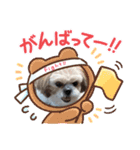シーズー♪（個別スタンプ：7）