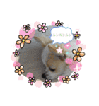 かわいい癒やし系のワンコスタンプ（個別スタンプ：4）