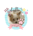 かわいい癒やし系のワンコスタンプ（個別スタンプ：18）