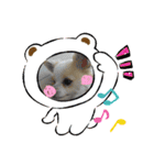 かわいい癒やし系のワンコスタンプ（個別スタンプ：23）