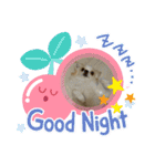 かわいい癒やし系のワンコスタンプ（個別スタンプ：34）