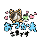 リアルにゃんこスタンプ(ФωФ)（個別スタンプ：9）