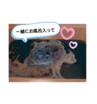かなおとあつお(再)（個別スタンプ：7）