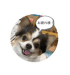 やまももほくそらぼくあぽ（個別スタンプ：1）