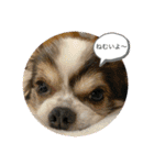 やまももほくそらぼくあぽ（個別スタンプ：4）