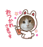 やまももほくそらぼくあぽ（個別スタンプ：6）