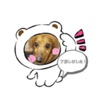 やまももほくそらぼくあぽ（個別スタンプ：12）