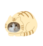 やまももほくそらぼくあぽ（個別スタンプ：13）