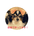 やまももほくそらぼくあぽ（個別スタンプ：16）
