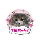 すこ⭐ねこ⭐りつ（個別スタンプ：4）
