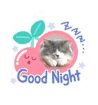 すこ⭐ねこ⭐りつ（個別スタンプ：8）