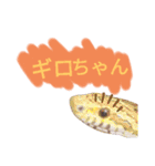 蛇のキャロちゃん達のスタンプ2（個別スタンプ：1）