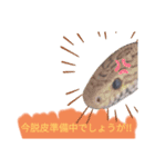 蛇のキャロちゃん達のスタンプ2（個別スタンプ：3）