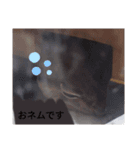 蛇のキャロちゃん達のスタンプ2（個別スタンプ：7）