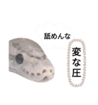 蛇のキャロちゃん達のスタンプ2（個別スタンプ：8）